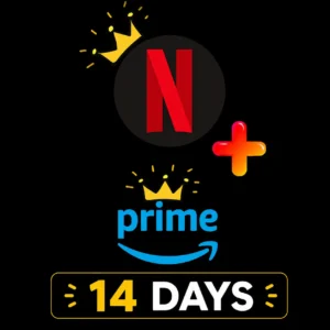 Netflix + Prime Private Profile 14 Days Subscription 4K Combo